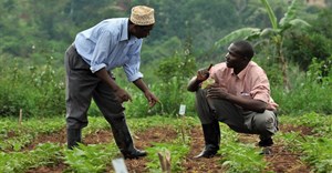 Smartphones, women&#x2019;s rights and coupons: New trends that can boost insurance for African&#160;farmers