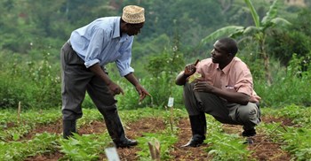 Smartphones, women&#x2019;s rights and coupons: New trends that can boost insurance for African&#160;farmers