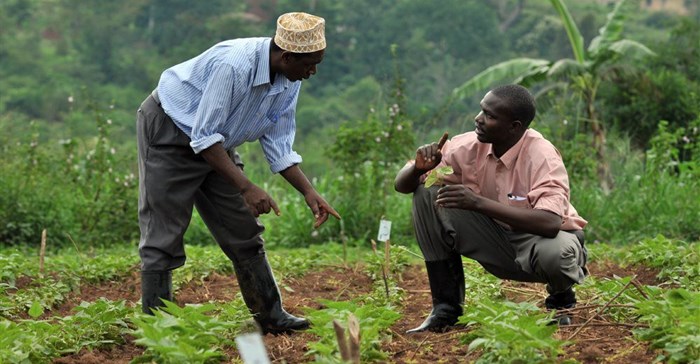 Smartphones, women&#x2019;s rights and coupons: New trends that can boost insurance for African&#160;farmers