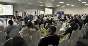 Source: The South African Subtropical Growers'? Association | LinkedIn