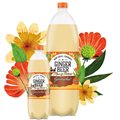 Natural Drinks launches limited-edition mango-infused ginger beer