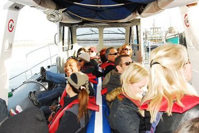 National Geographic Channel takes advertisers back to nature