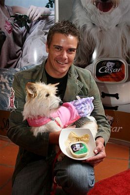 Sheba Cat and Cesar Dog gourmet pet foods host luncheon