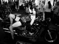 Harley-Davidson at Cape Town's Southern Ink Xposure