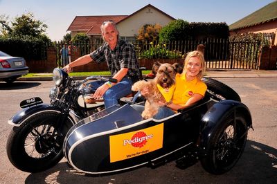 The Pedigree Dog Adoption Awareness Day