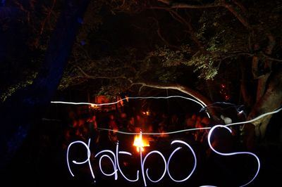 Indigenous forest rejuvenated