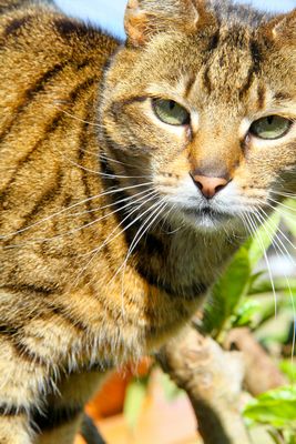 Cadiz Steenberg Classic charity golf event raises a record R625 000