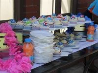 Tropika Cruise launch