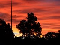 Sounds Wild Festival