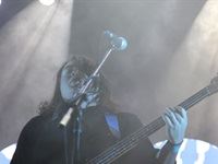 Sounds Wild Festival