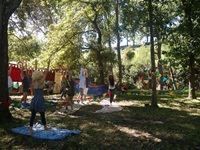 The Tea Party Festival 2015