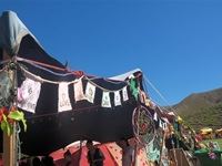 The Tea Party Festival 2015