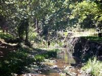 The Tea Party Festival 2015