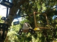 The Tea Party Festival 2015