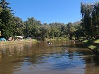 The Tea Party Festival 2015