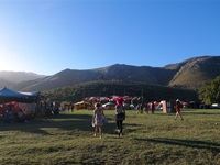 The Tea Party Festival 2015