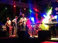 The Tea Party Festival 2015