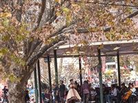 Kaya FM Celebrated Mothers at the Zoo