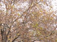 Kaya FM Celebrated Mothers at the Zoo