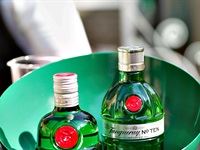 TANQUERAY&#174; Secret Garden Party