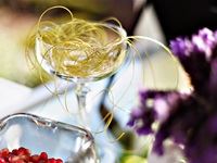 TANQUERAY&#174; Secret Garden Party