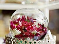 TANQUERAY&#174; Secret Garden Party