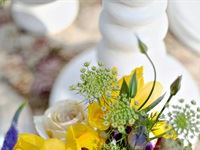 TANQUERAY&#174; Secret Garden Party