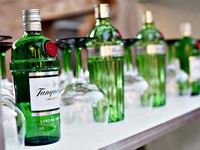 TANQUERAY&#174; Secret Garden Party
