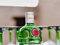 TANQUERAY&#174; Secret Garden Party