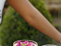 TANQUERAY&#174; Secret Garden Party