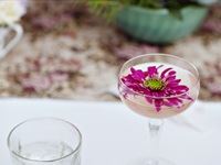 TANQUERAY&#174; Secret Garden Party