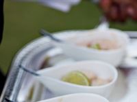 TANQUERAY&#174; Secret Garden Party