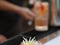 TANQUERAY&#174; Secret Garden Party