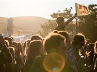 Rocking the Daisies 2015