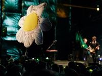 Rocking the Daisies 2015