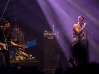 Rocking the Daisies 2015