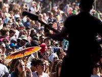 Rocking the Daisies 2015