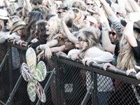 Rocking the Daisies 2015