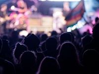 Rocking the Daisies 2015