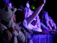 Rocking the Daisies 2015