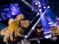 Rocking the Daisies 2015