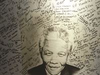 Immersion Experience 2015