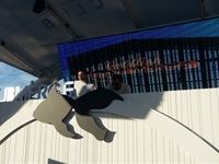 Goldfish Submerged Sunday's