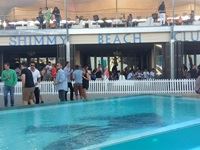 Goldfish Submerged Sunday's