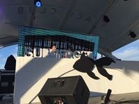 Goldfish Submerged Sunday's