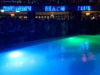 Goldfish Submerged Sunday's