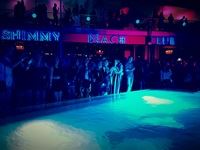 Goldfish Submerged Sunday's