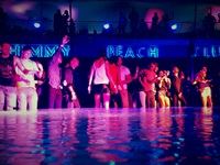 Goldfish Submerged Sunday's