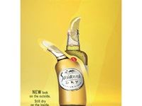 APEX Awards 2016 - Savanna Premium Cider Redefining Normal