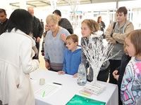 Cinemark celebrates Christmas in July